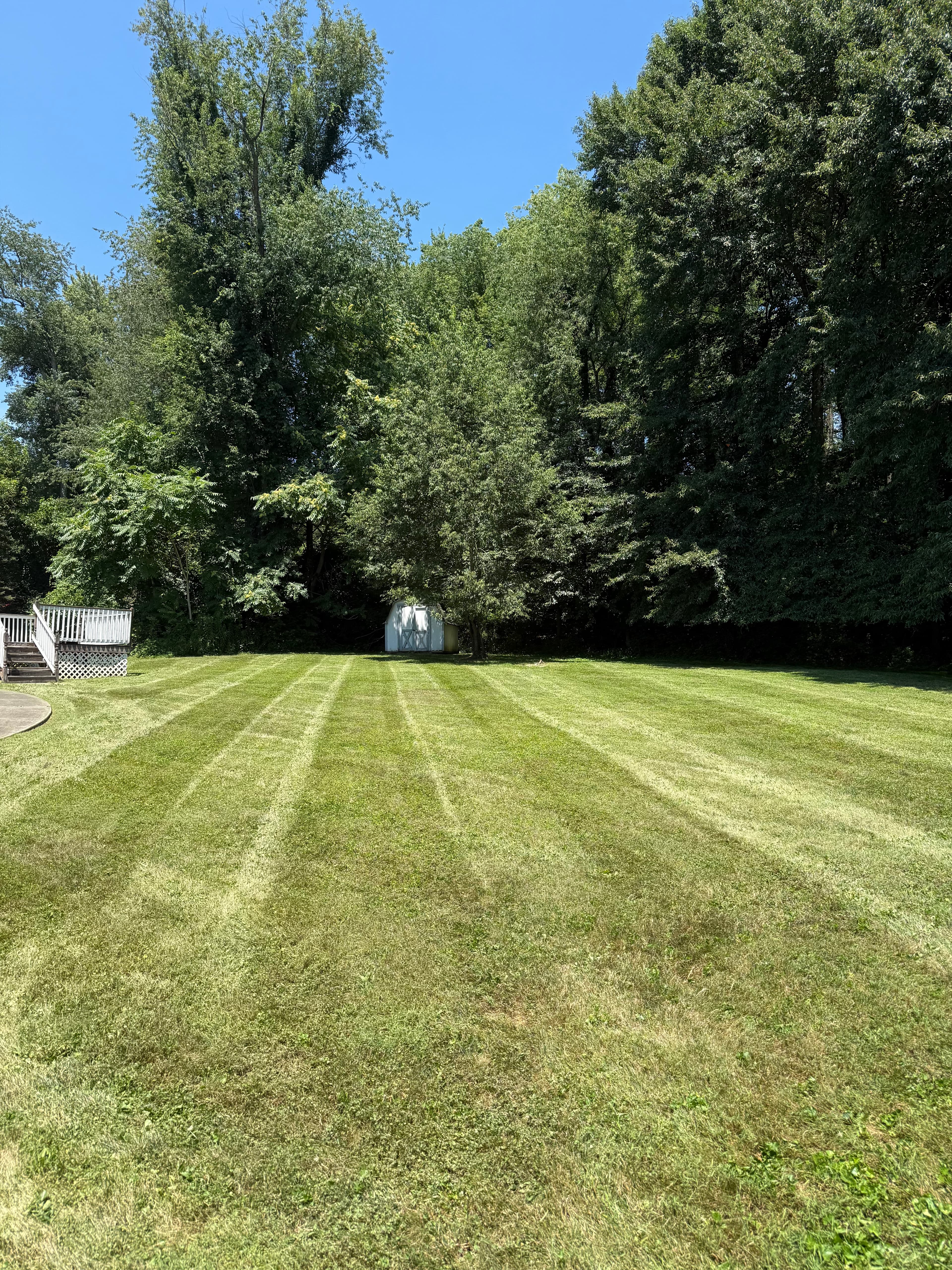 Well-maintained residential yard