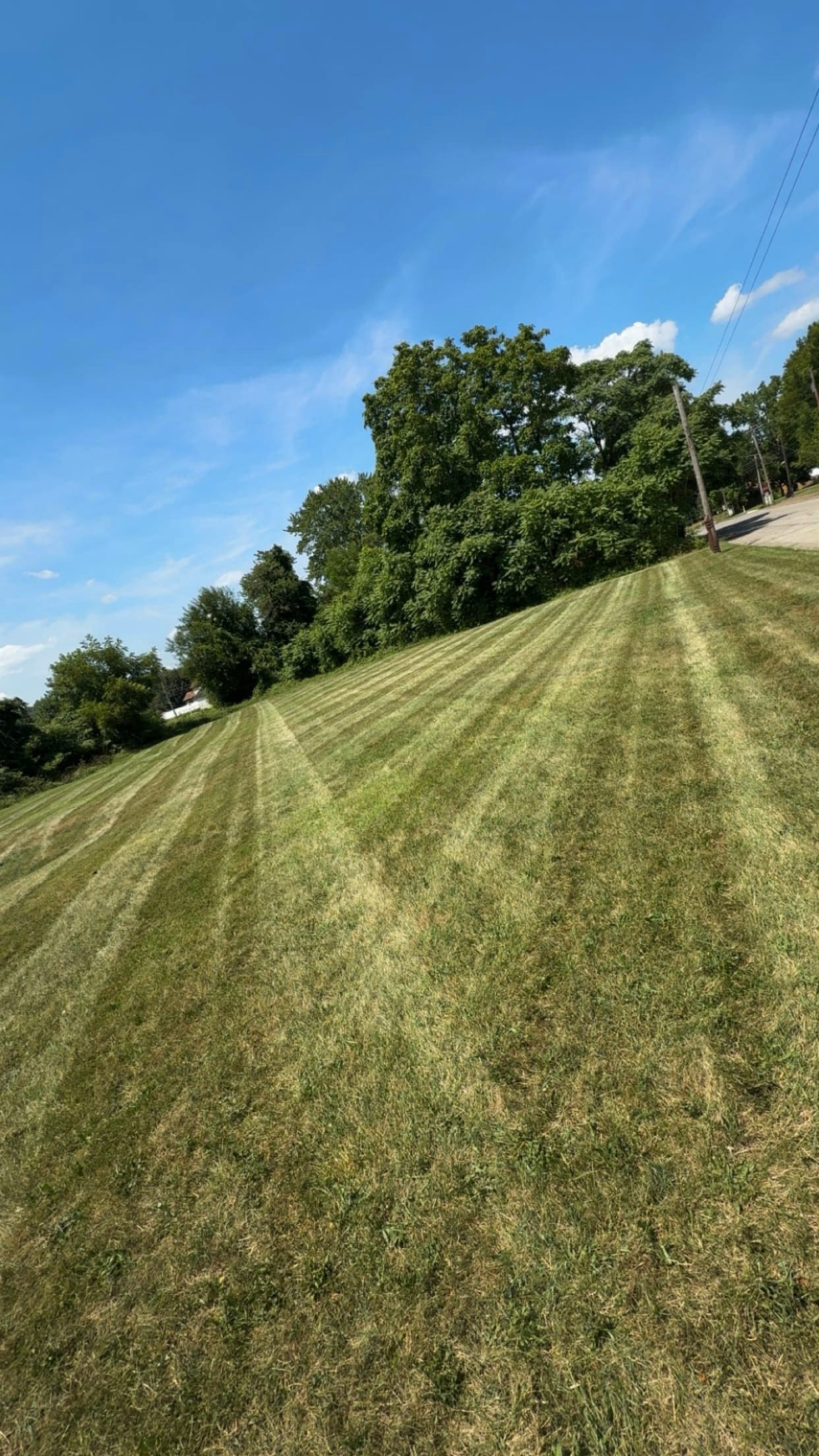 Seasonal cleanup